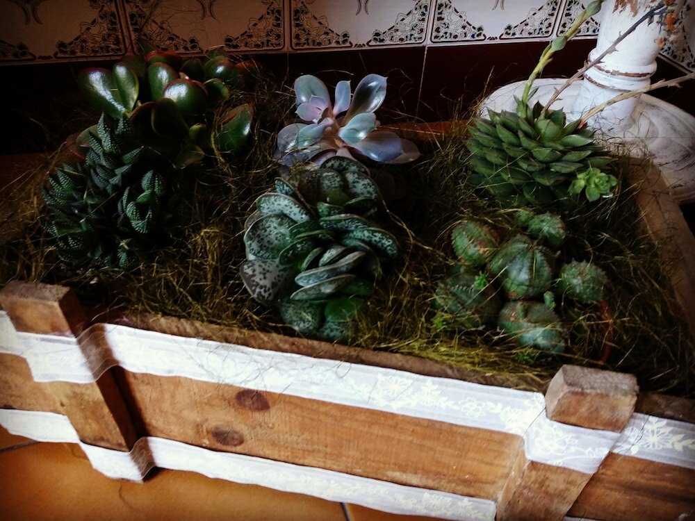 Фото Casa Rosalia