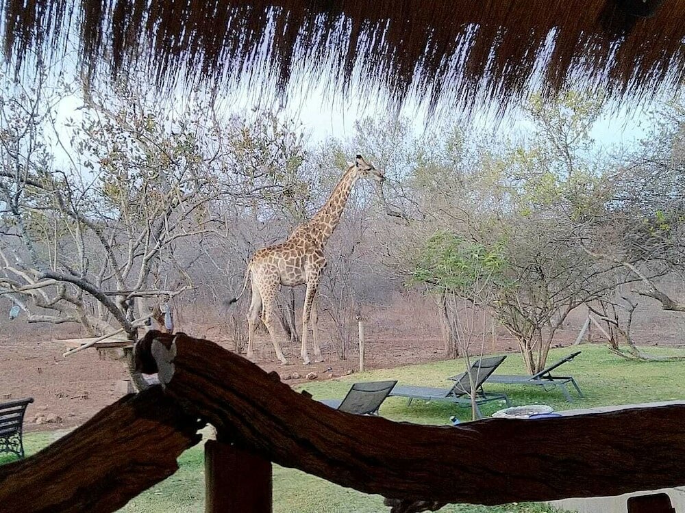 Фото Call of the Wild Lodge