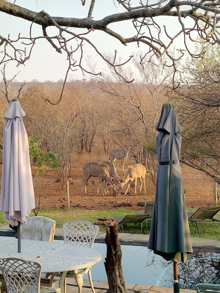 Фото Call of the Wild Lodge