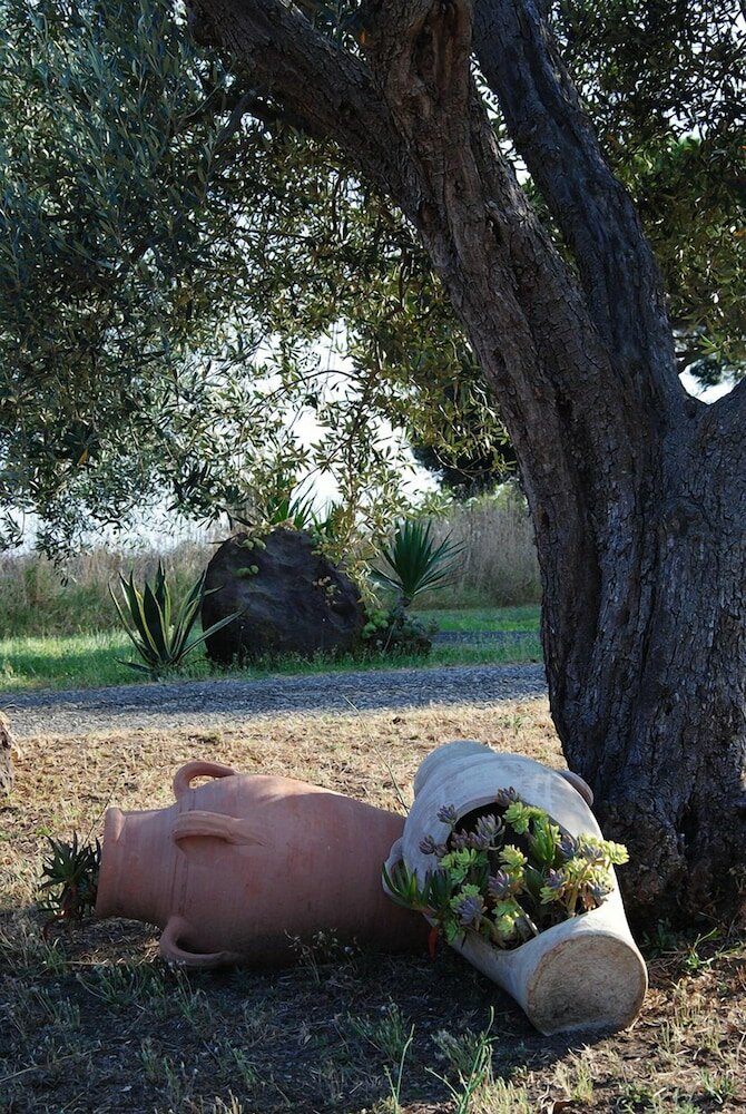 Фото Tenuta Di Pontesodo