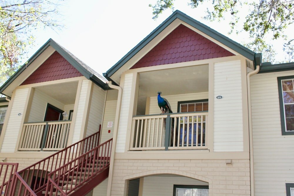 Фото Magic Holiday Villas by Me