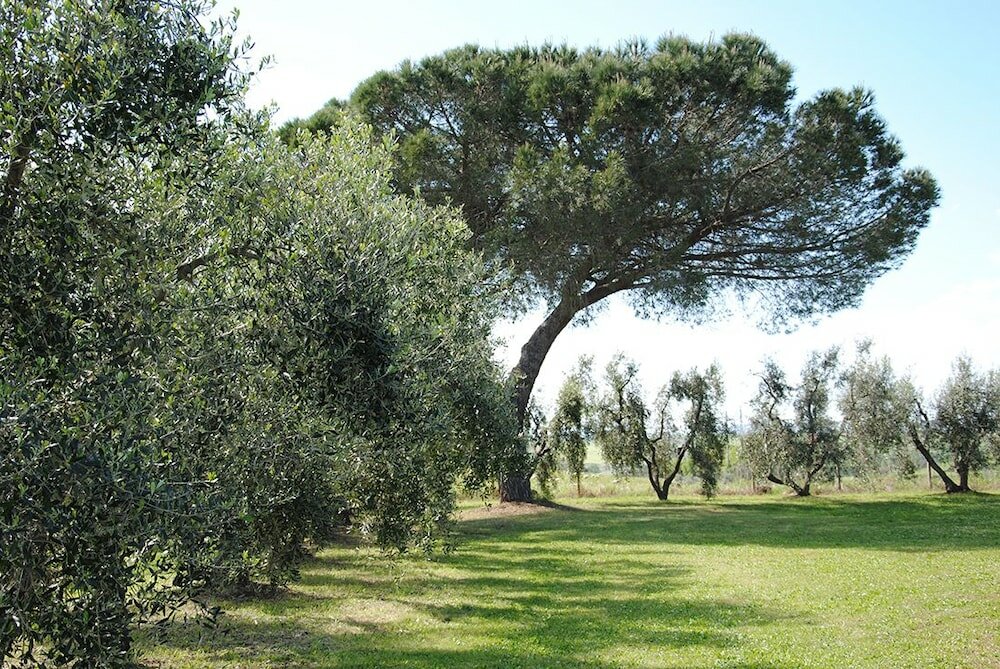 Фото Tenuta Di Pontesodo