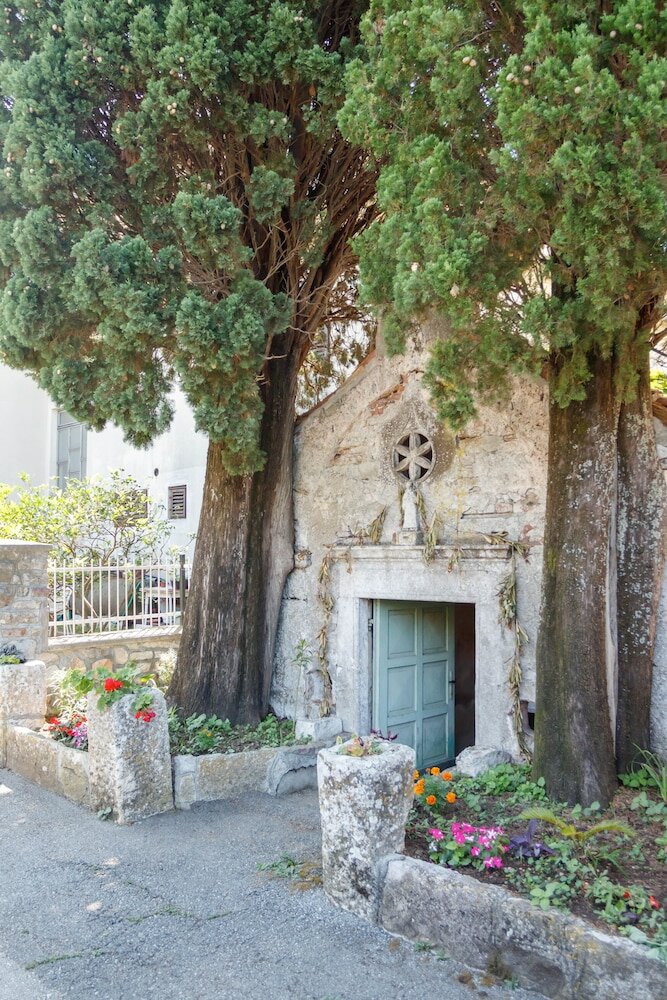 Фото Sea star Danica