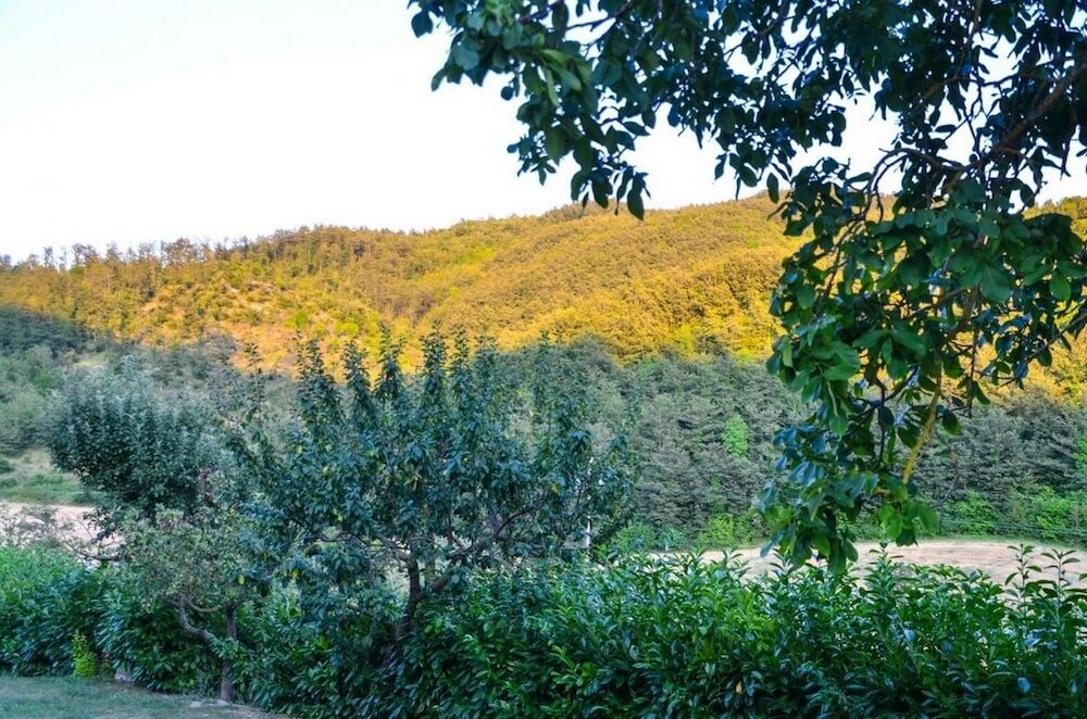 Фото Agriturismo Cailuca