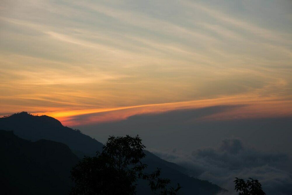 Фото The Onestar Homestay