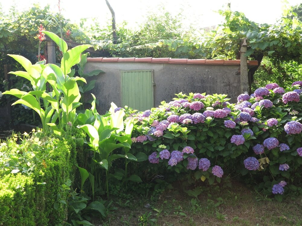 Фото Hostal Boavista