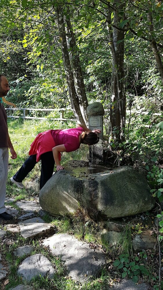 Фото Alphotel Stocker