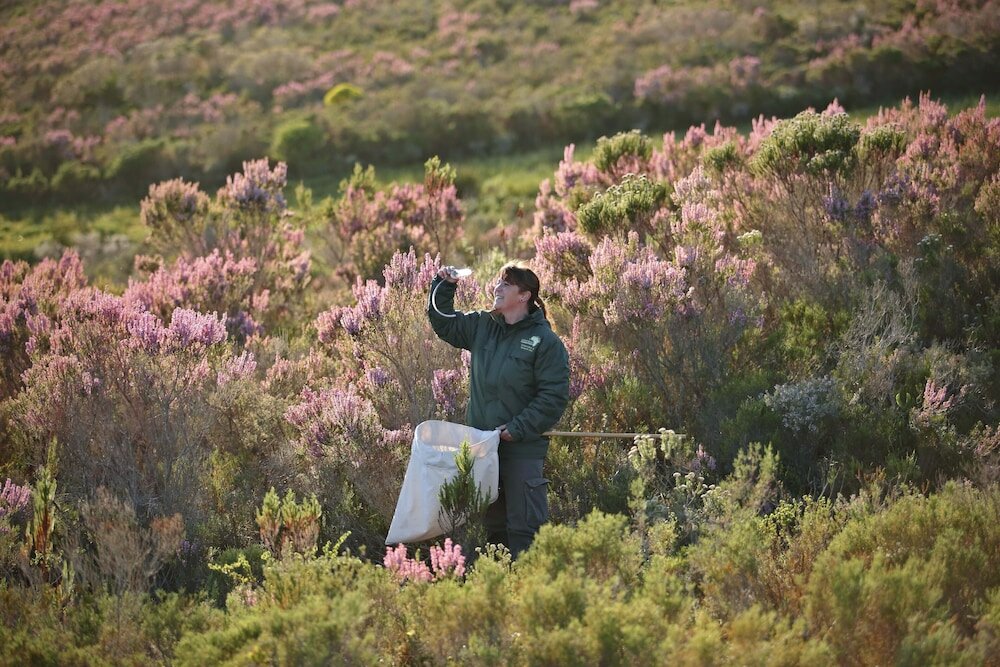 Фото Grootbos Nature Reserve