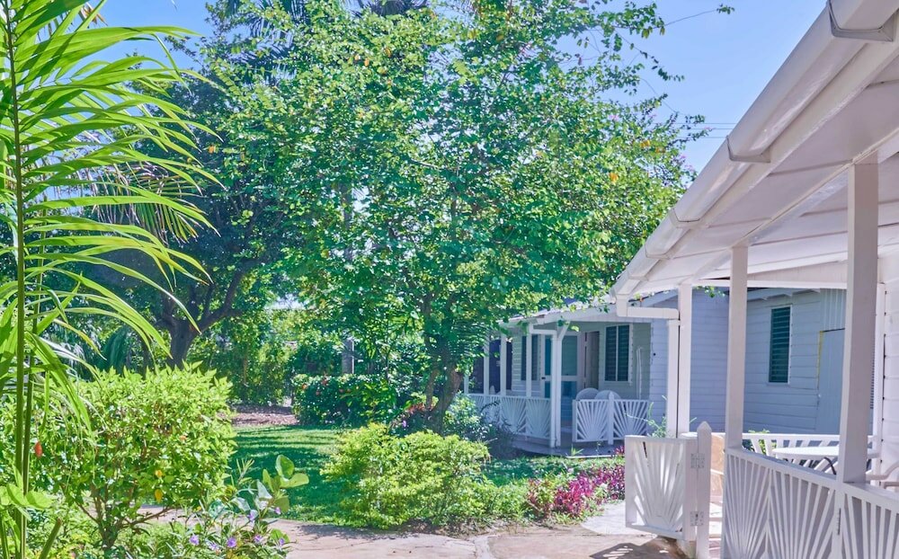 Фото The Yellow Bird