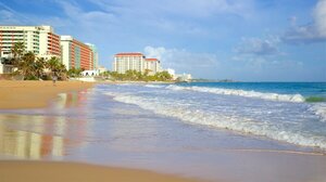 Гостиница The Tryst Beachfront Hotel