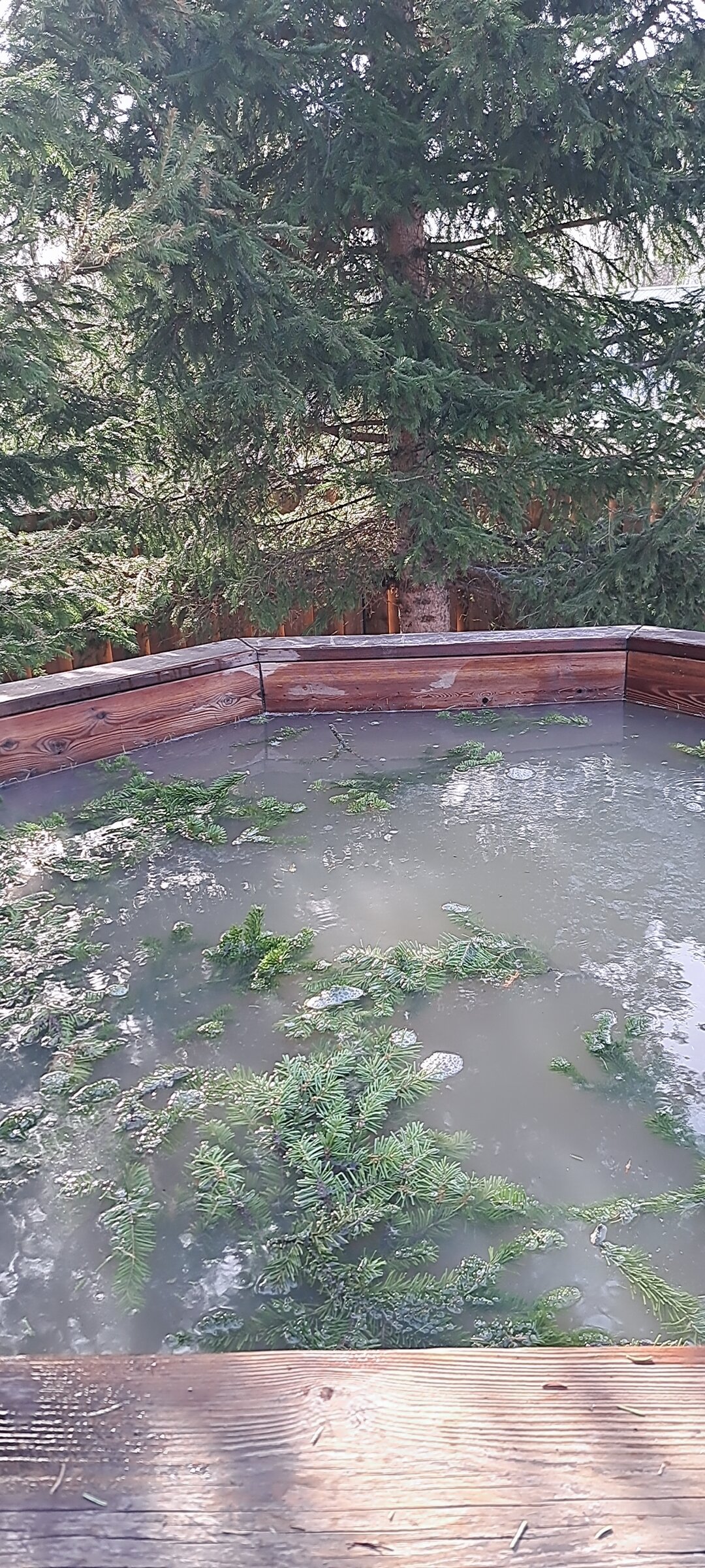 Фото Зель-Диего