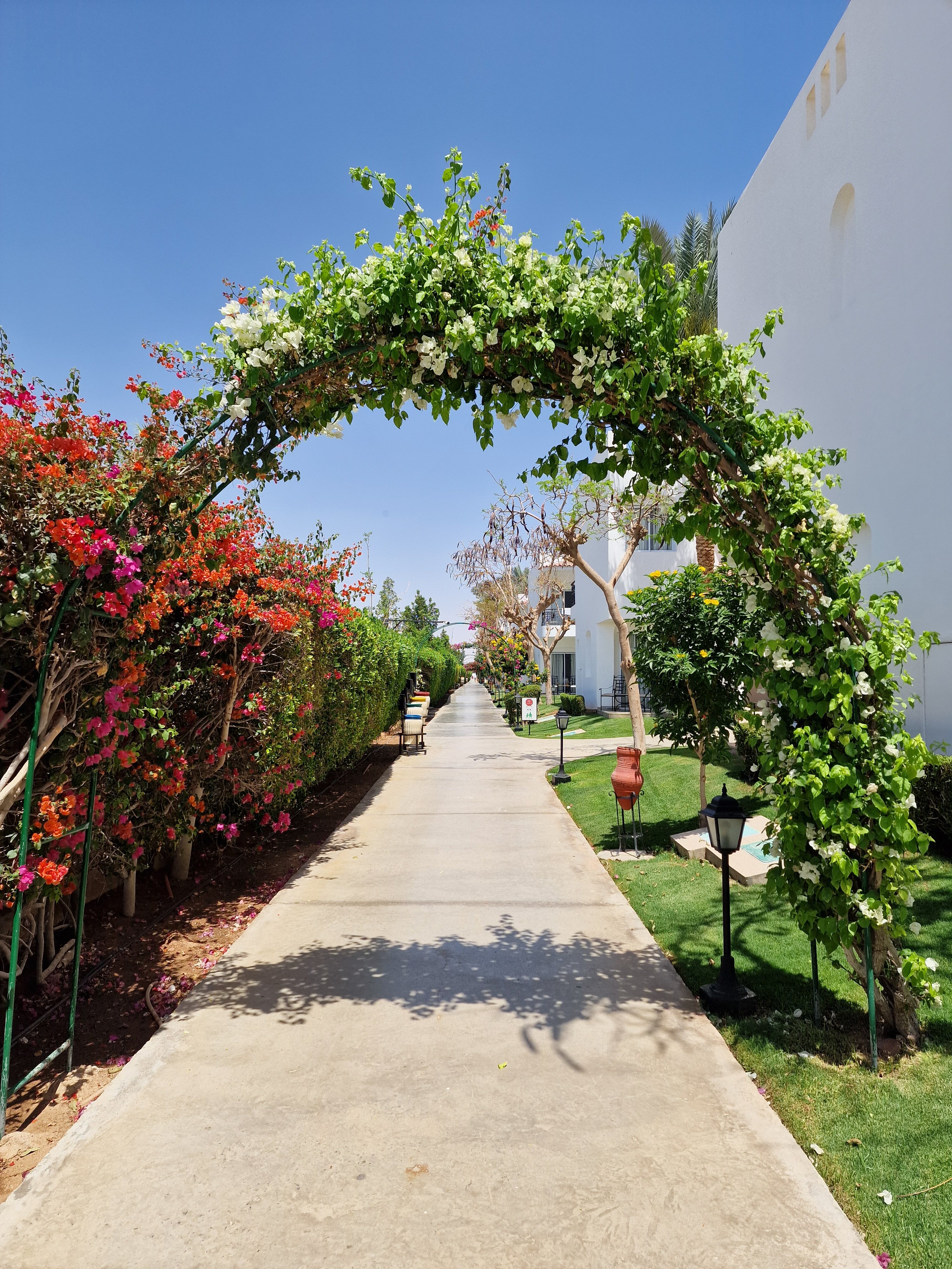 Фото Jaz Fanara Residence