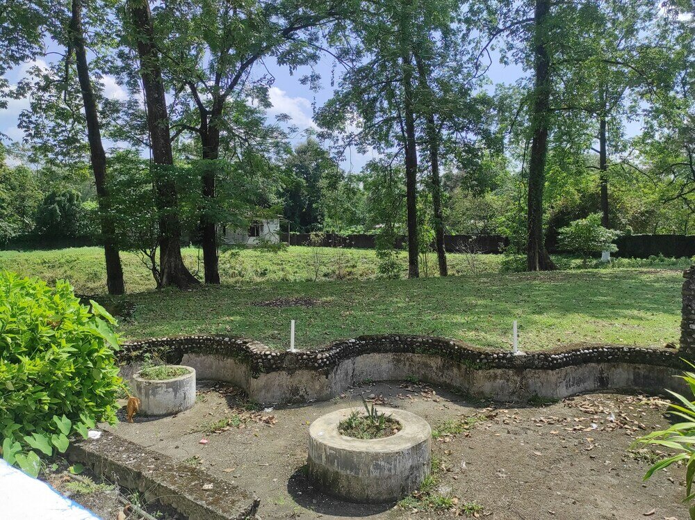 Фото Homocation Jungle Resort