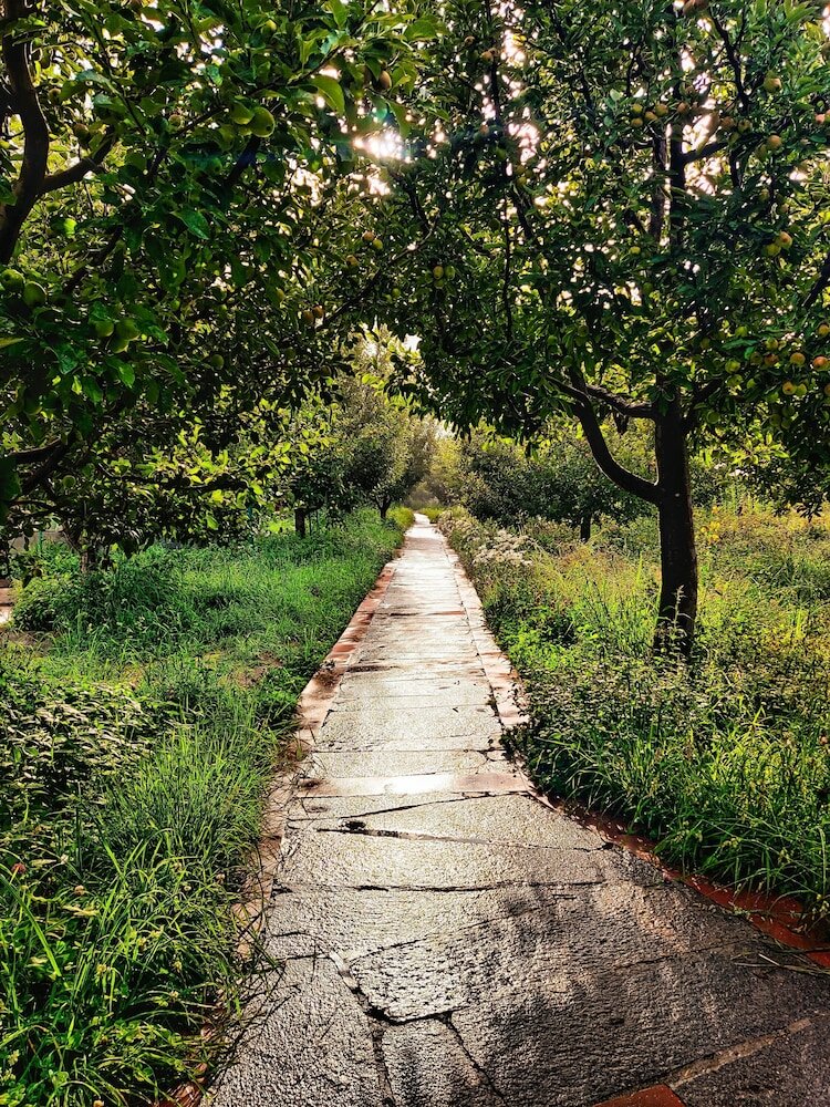 Фото Banjara Camp and Retreat Sangla