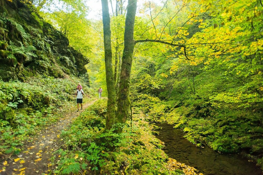 Фото Hotel Restaurant Tychon