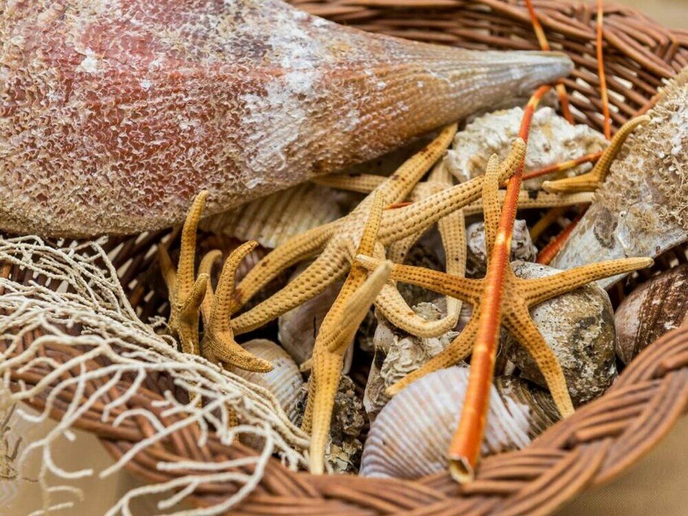 Фото Apartments Saulan