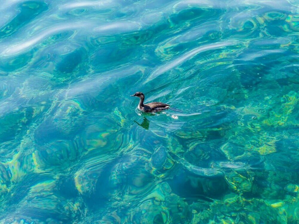 Фото Apartments Saulan