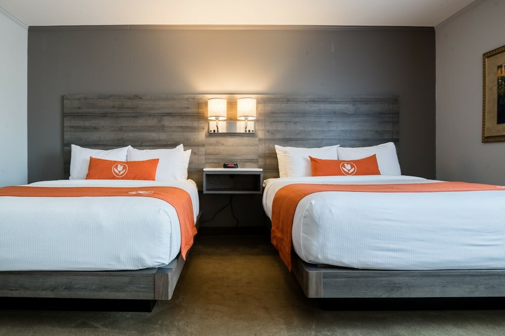 Фото Amsterdam Inn & Suites Moncton