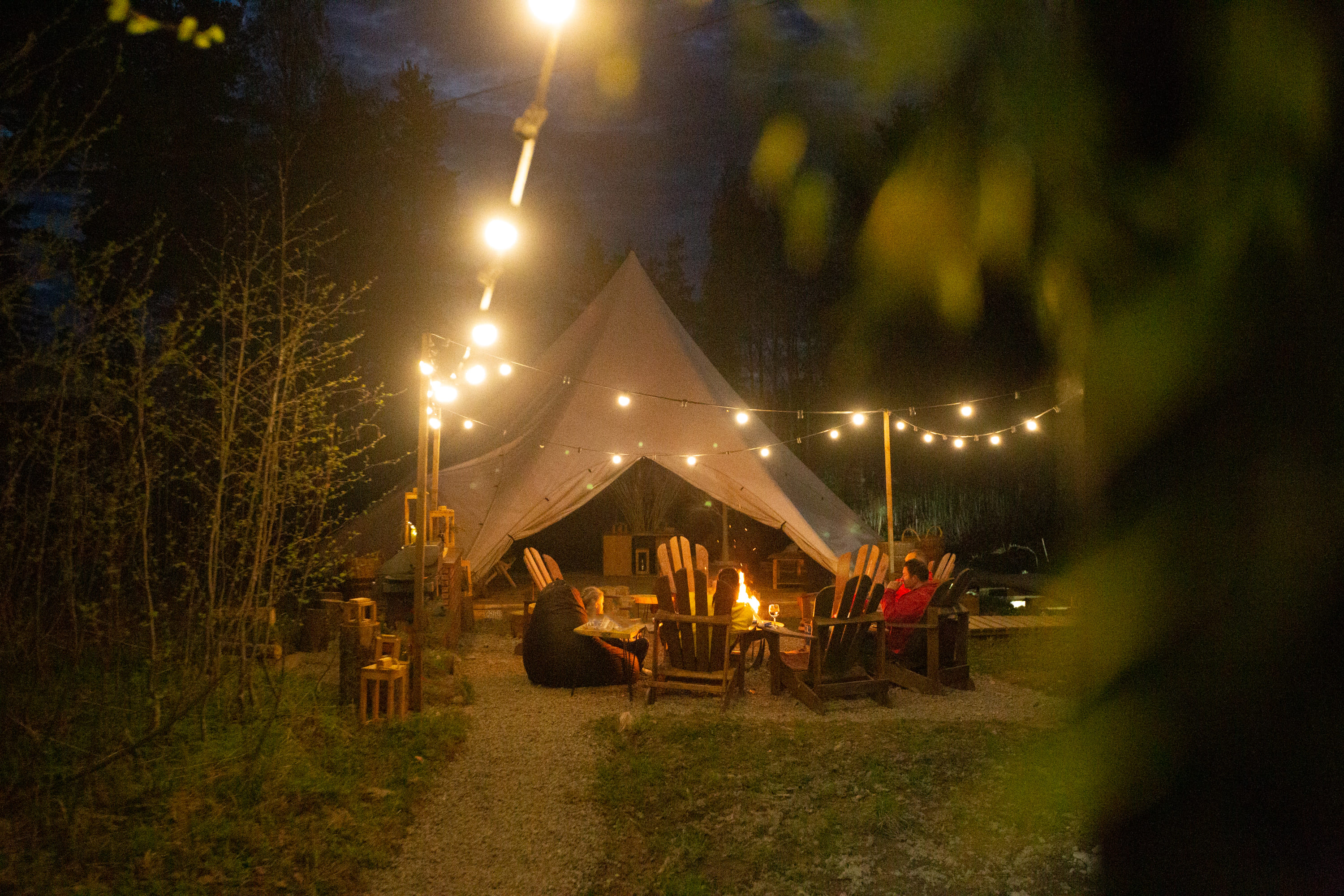 Фото Смородина