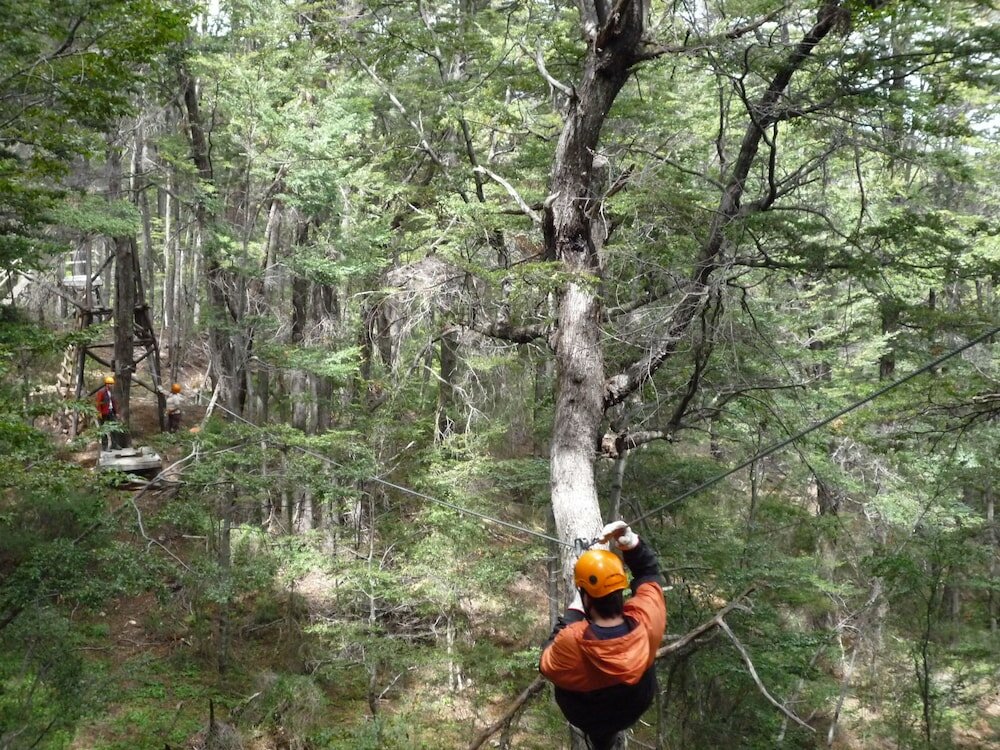 Фото Parador Austral Lodge