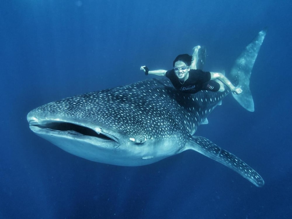 Фото Maqna Hotel