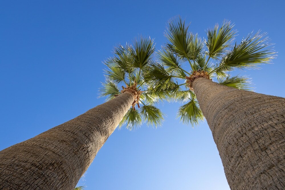 Фото Akrogiali Beach Hotel Apartments