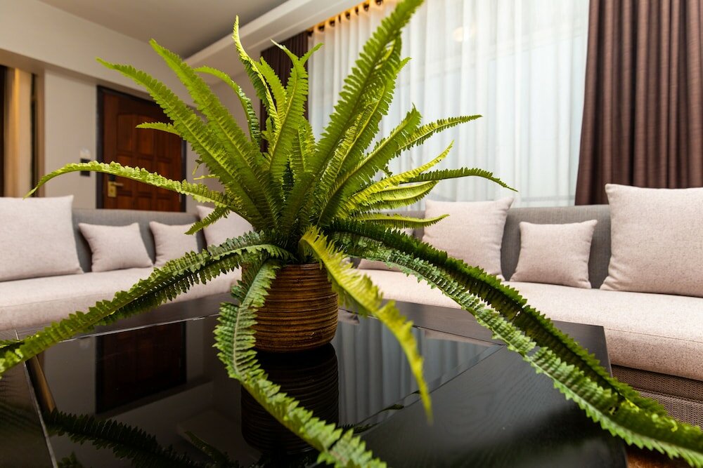 Фото Blackwood Hotel and Apartments