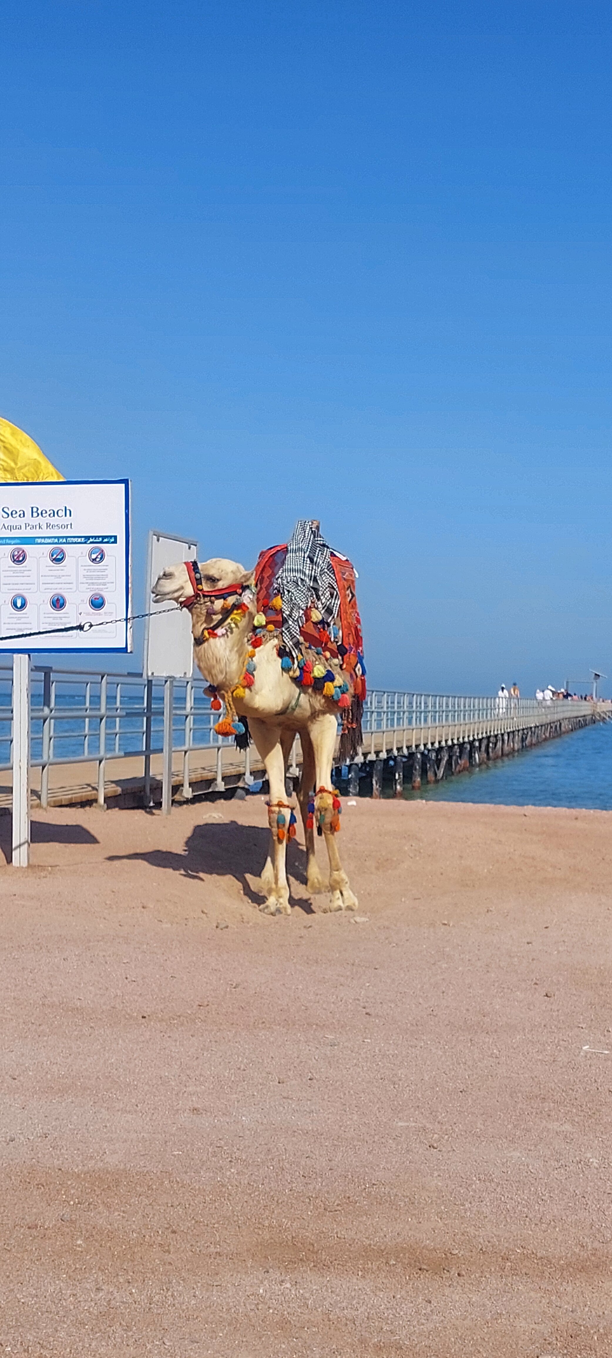 Фото Sea Beach Aqua Park Resort