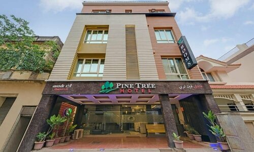 Pine Tree Boutique Hotel - Greams Road