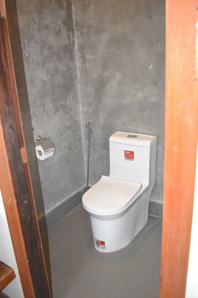 Фото Three Little Birds