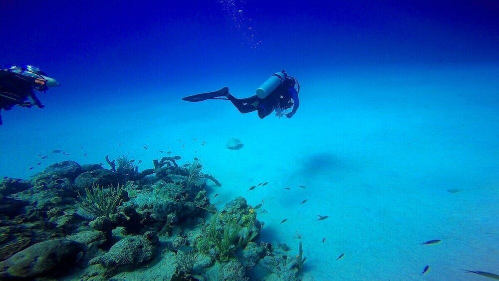 Фото Windchime Estates