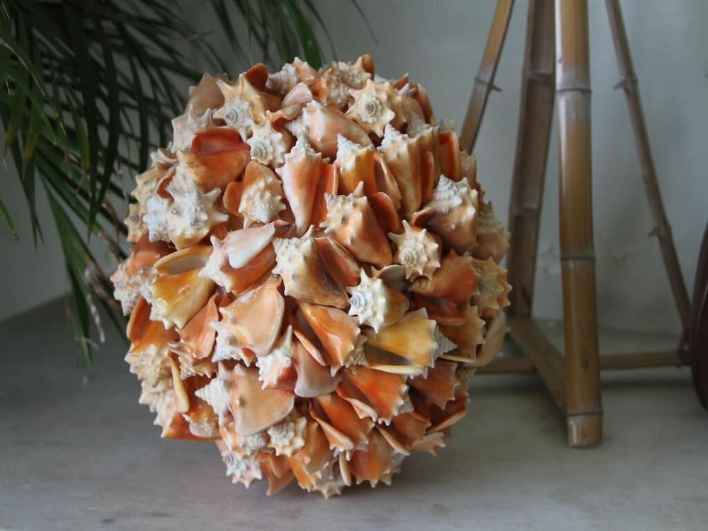 Фото Pousada Boulevard