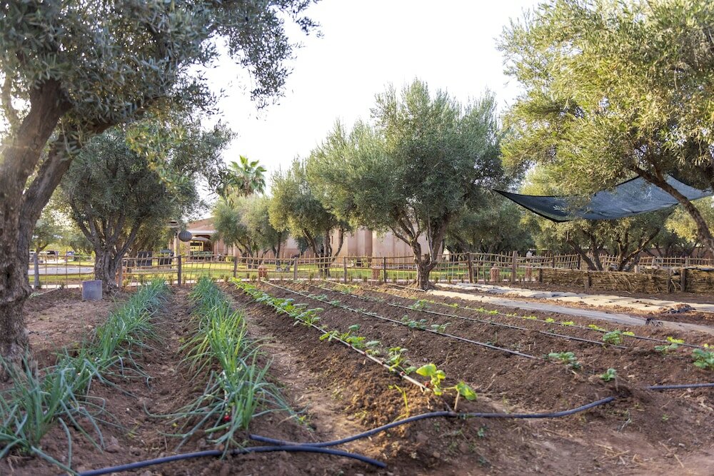 Фото Villa Serena Marrakech