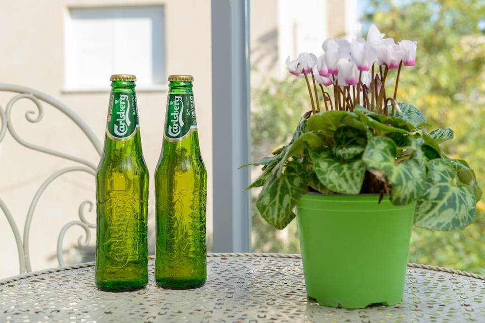 Фото Spacious Modern Apt 1 Step To Beach