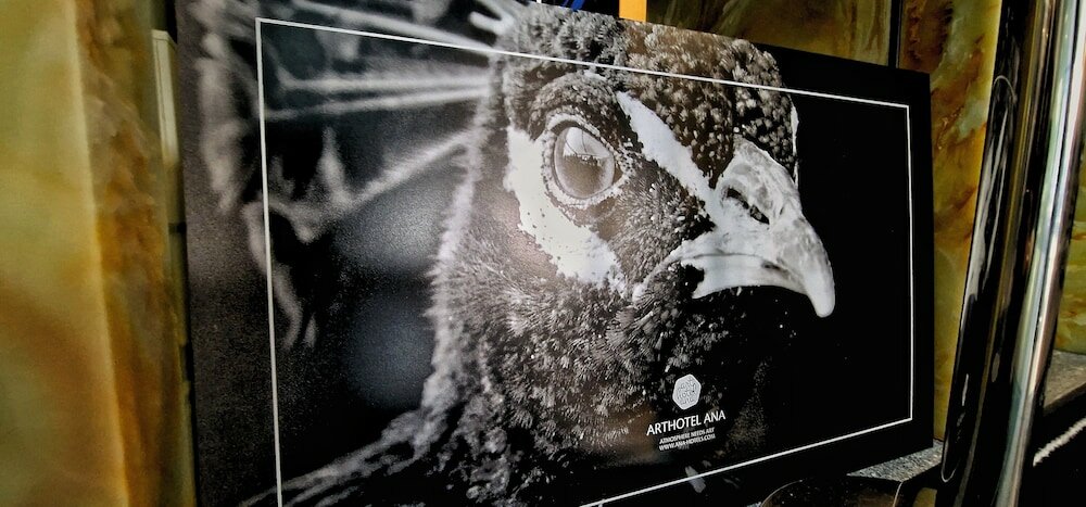 Фото ArtHotel Ana Munich Airport