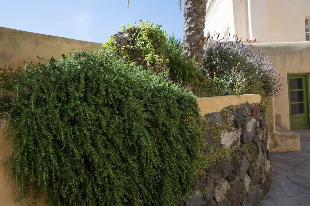 Фото The Palm Tree Residence