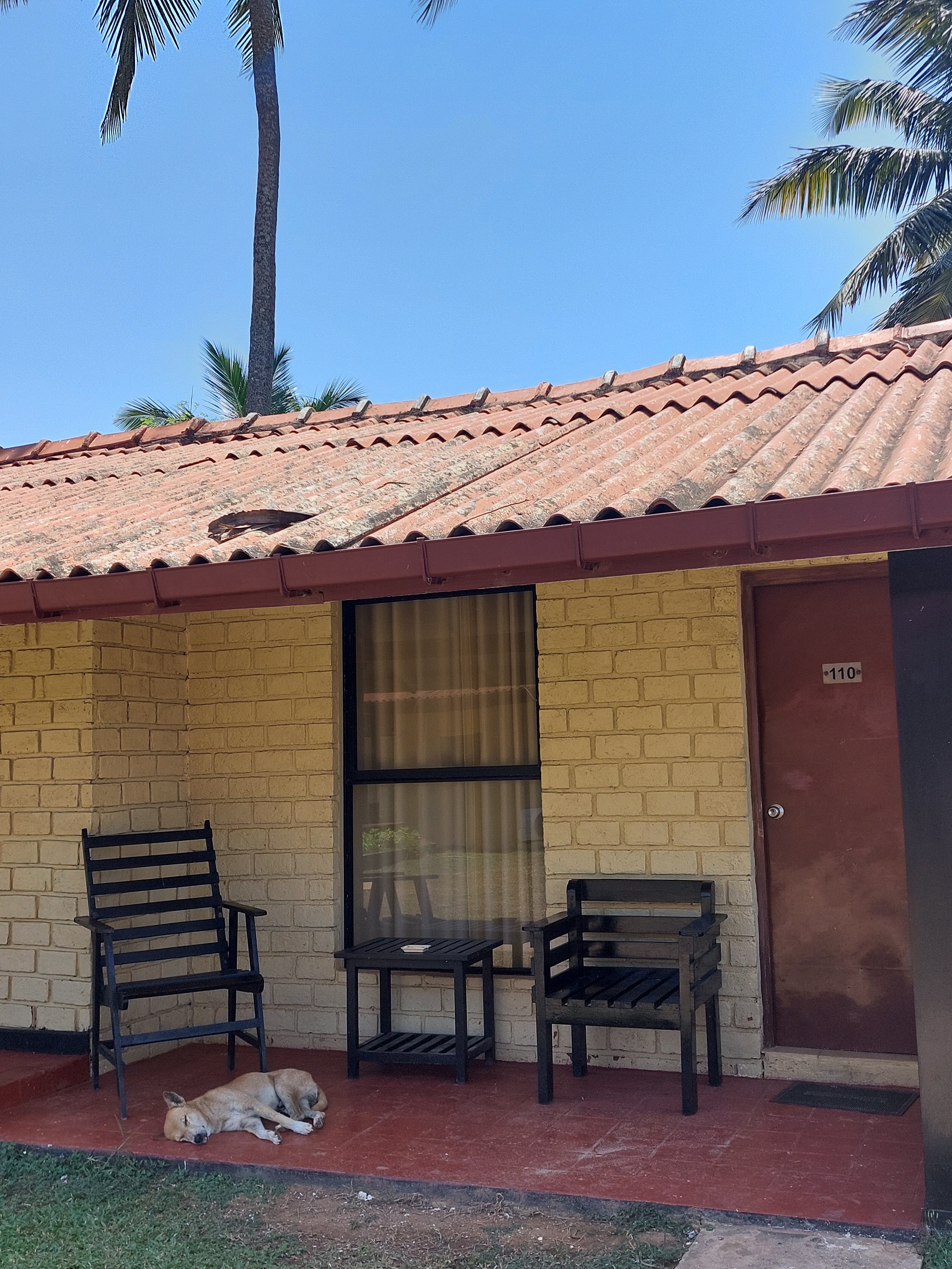 Фото Amagi Beach Hotel Marawila