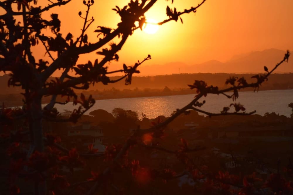 Фото Marola's Búzios