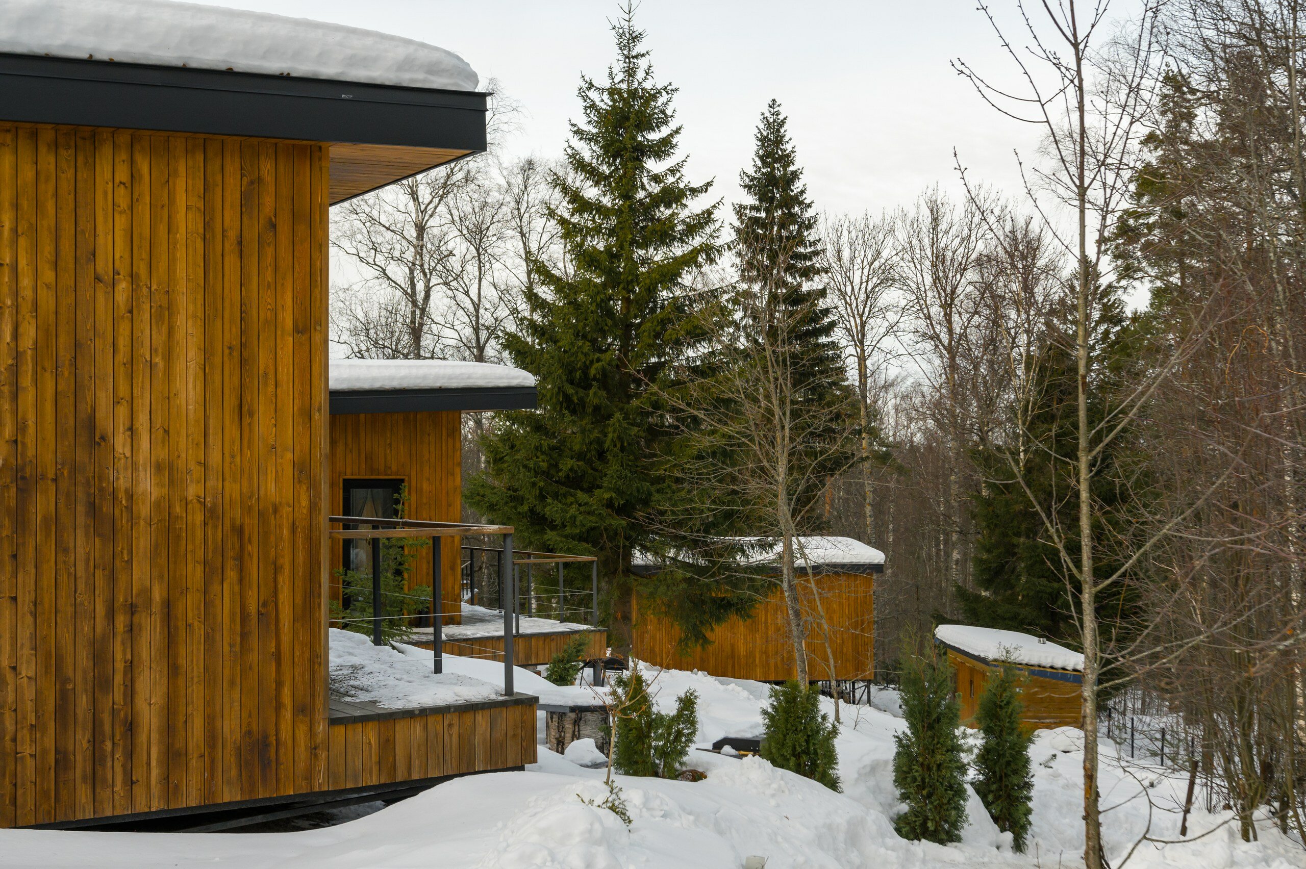 Фото Лесной восход