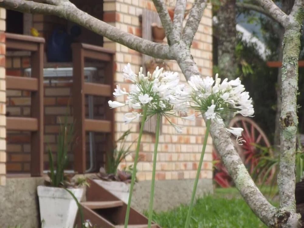 Фото Pousada Vó Liane