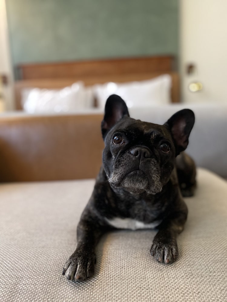 Фото Canopy by Hilton Sao Paulo Jardins