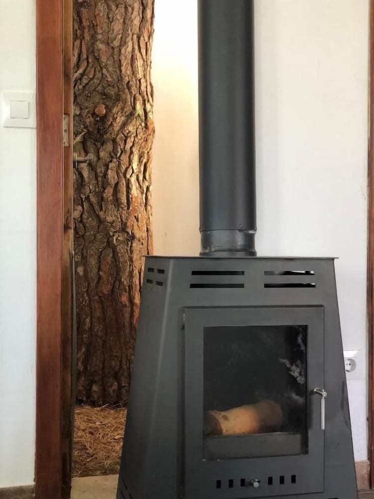 Фото Los Viejitos EN Firgas