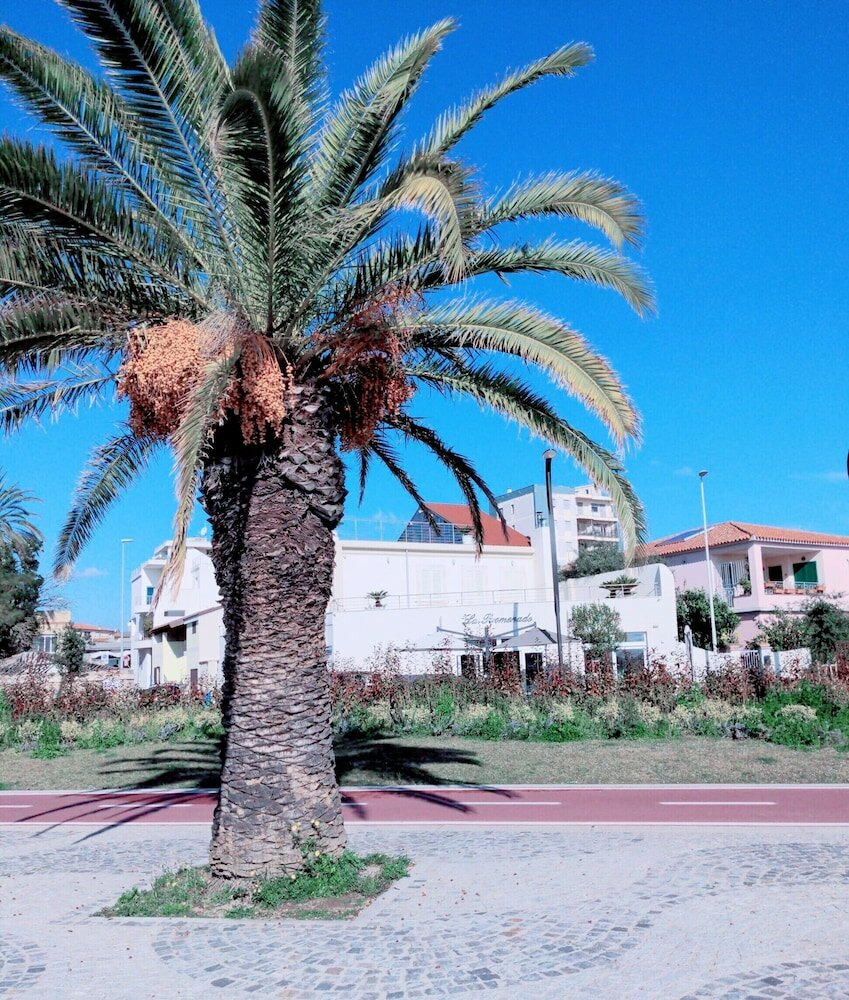 Фото La Promenade