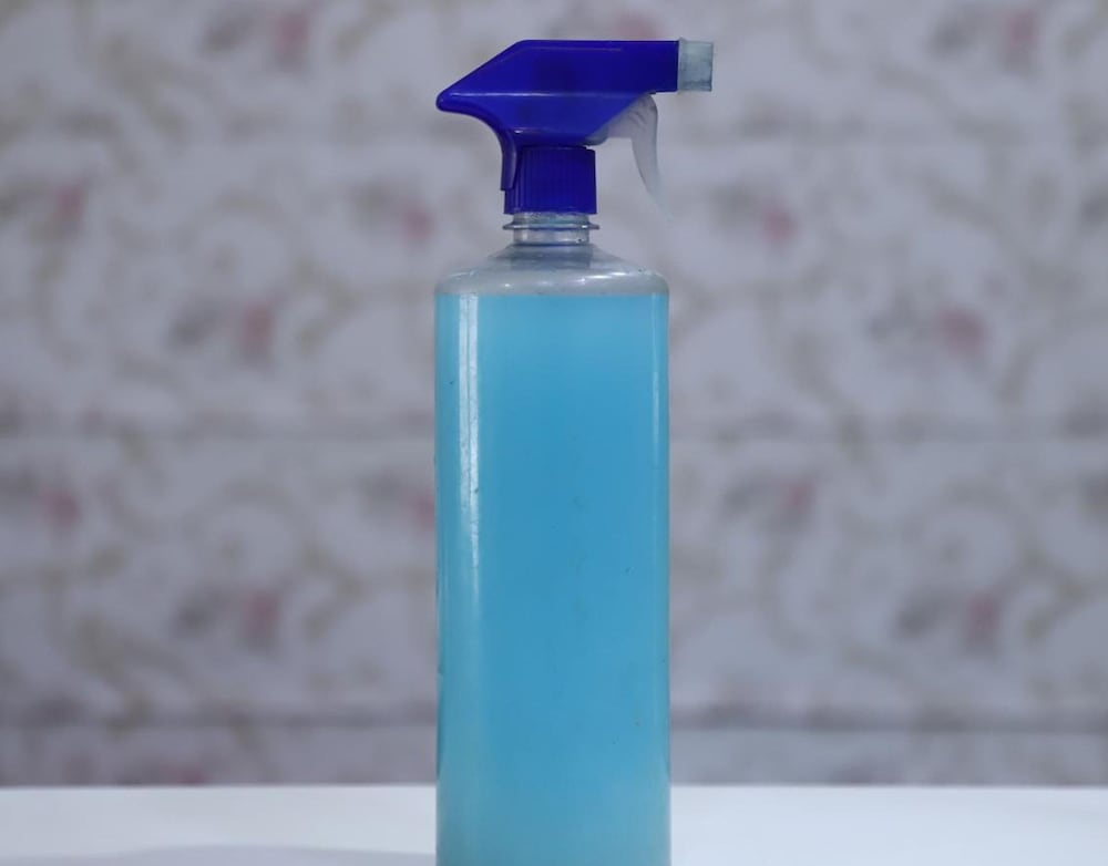 Фото Hotel Universal Garden