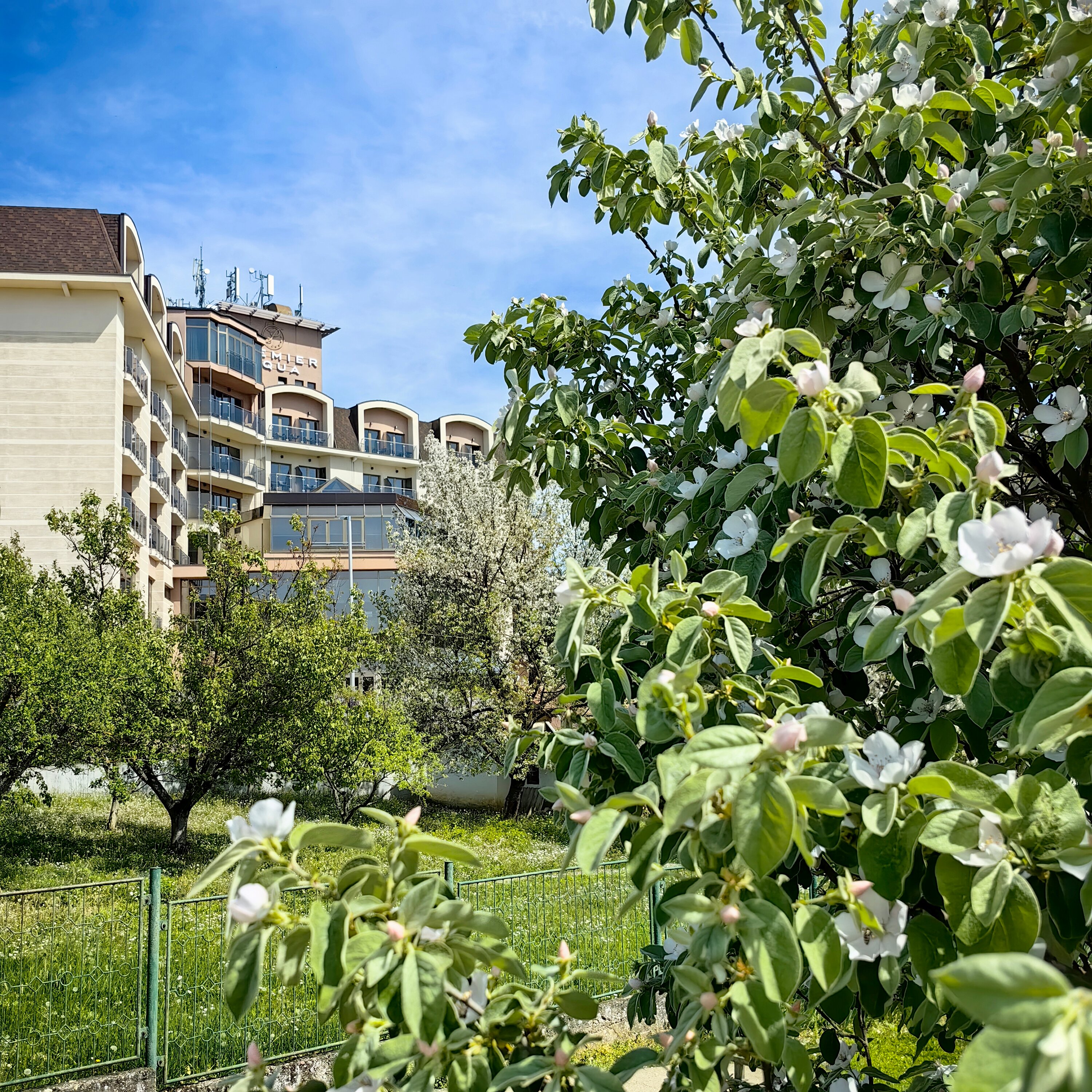 Фото Hotel Premier Aqua