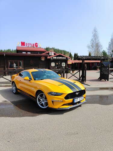 Cafe Mustang, Minsk District, photo