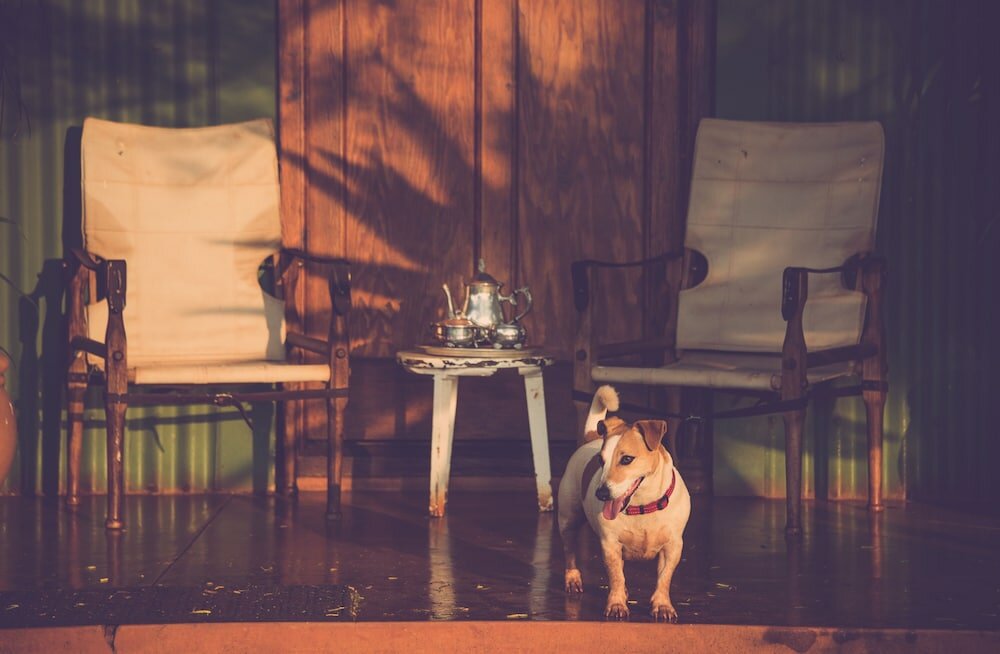 Фото Three Tree Hill