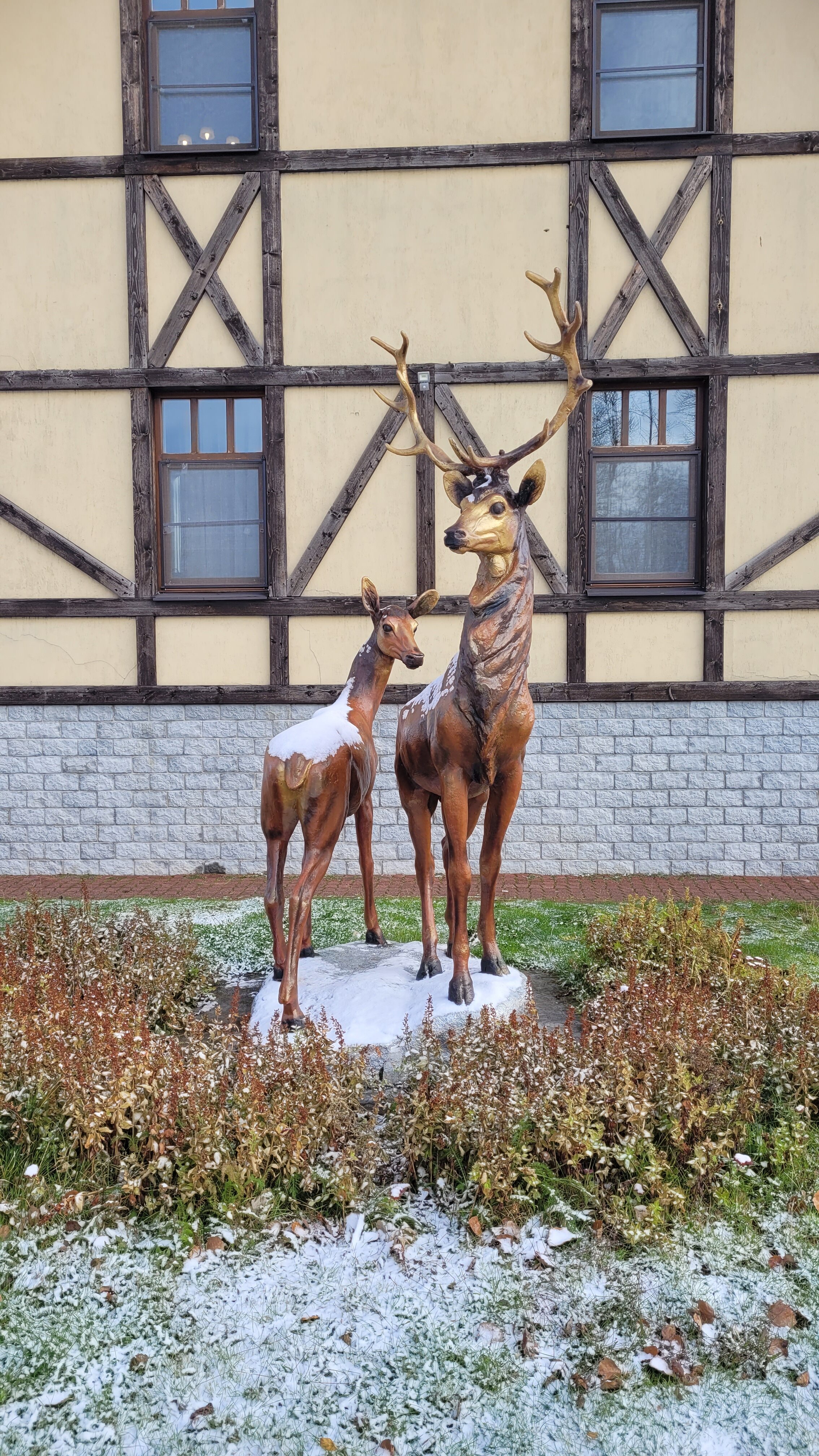 Фото Пихтовое