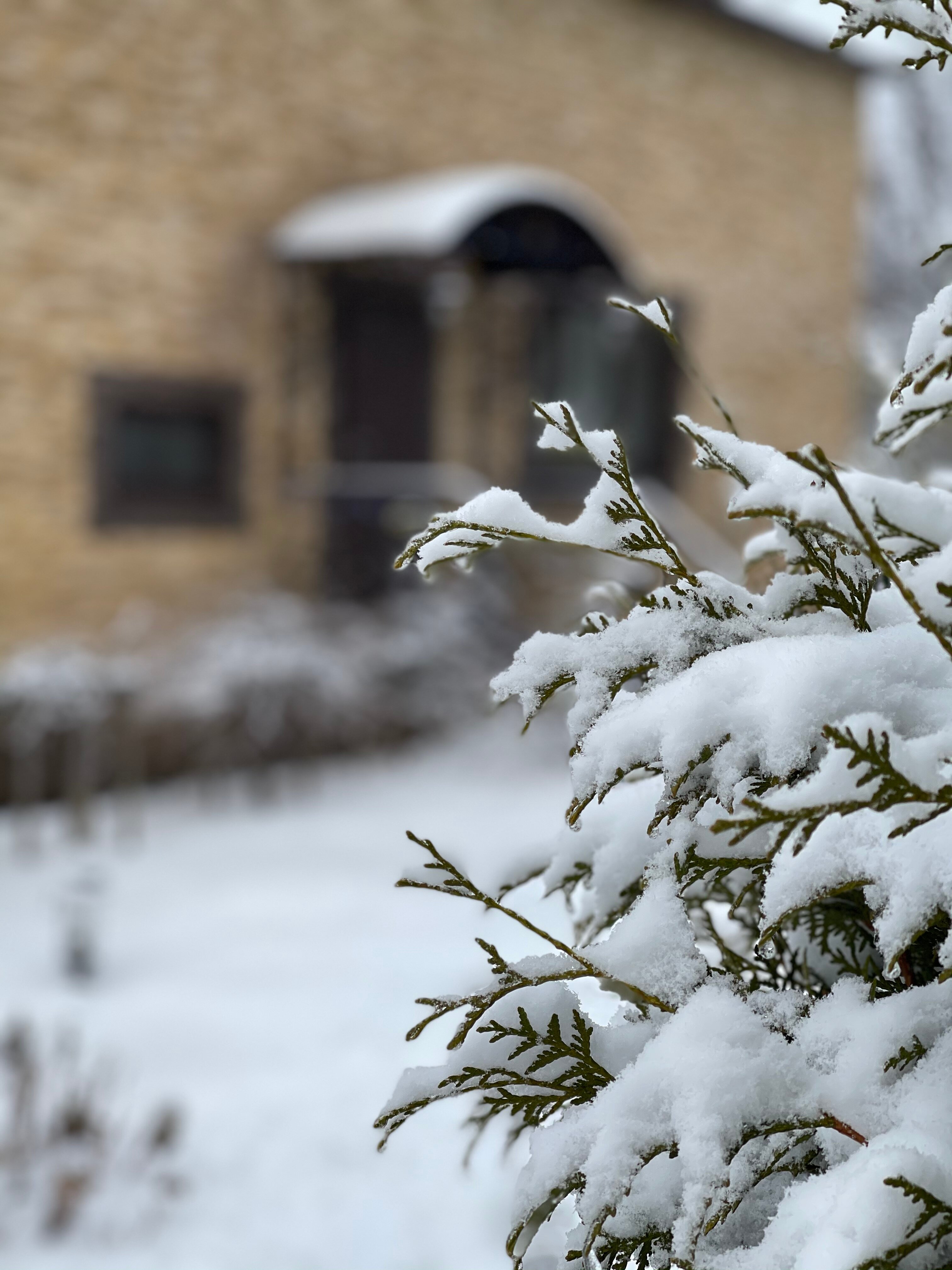 Фото Вилла Lobnya Village