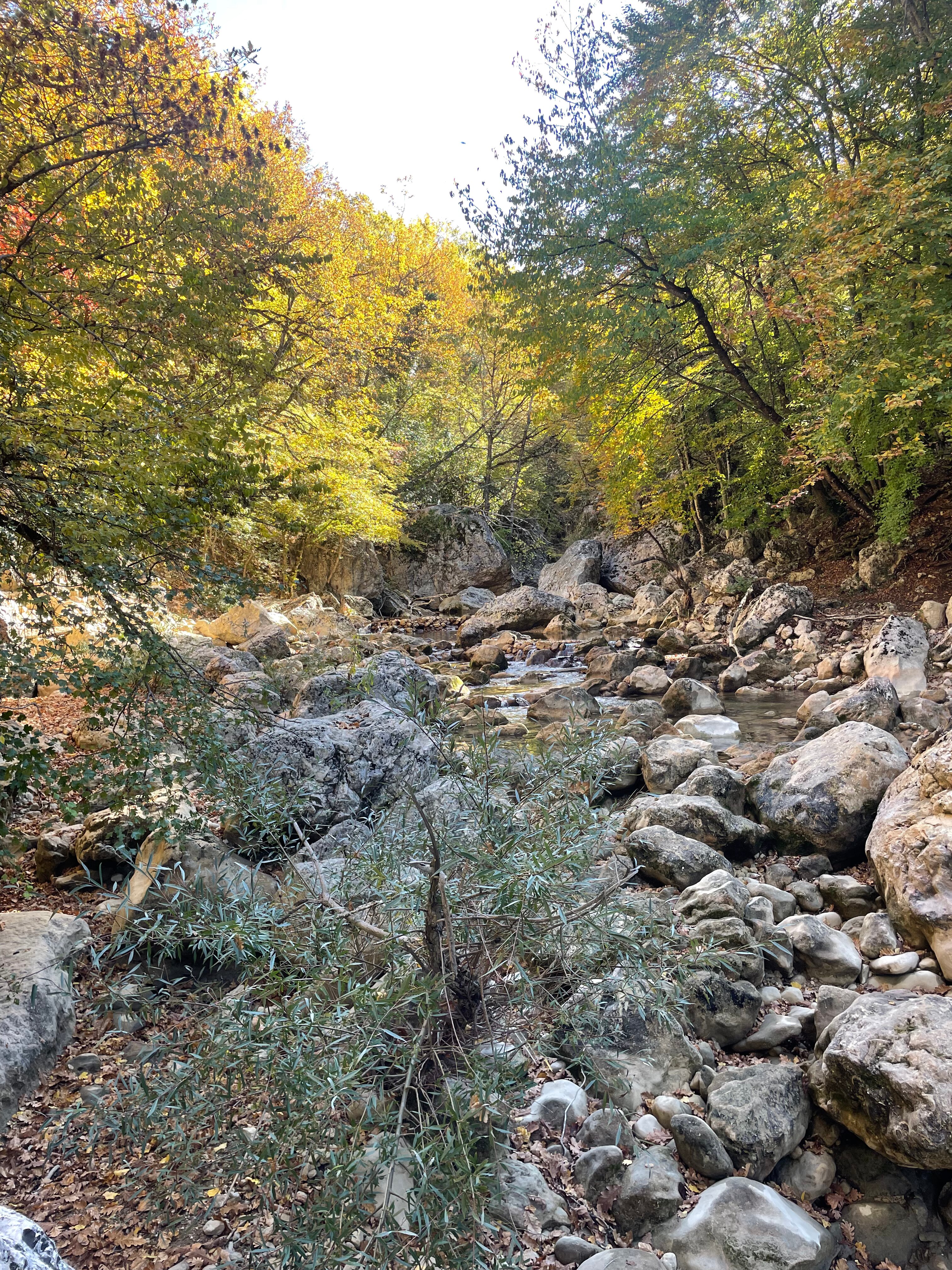 Фото Коккоз